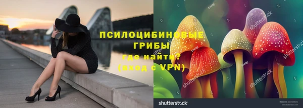 хмурый Арсеньев