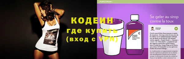 хмурый Арсеньев