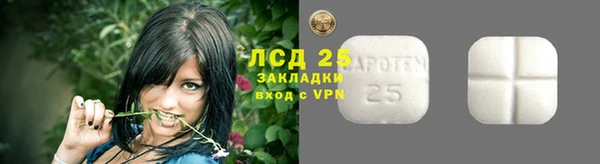 хмурый Арсеньев