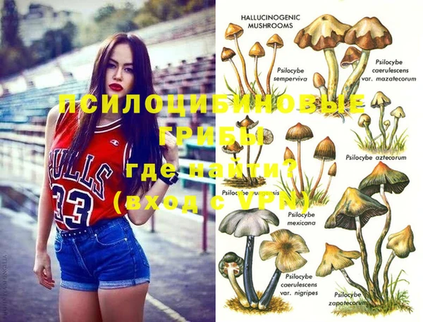 спайс Армянск