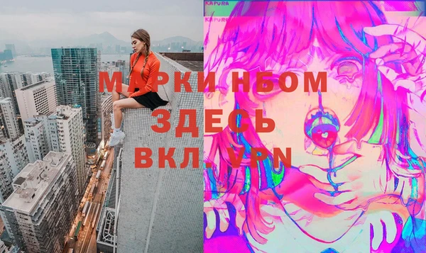 хмурый Арсеньев