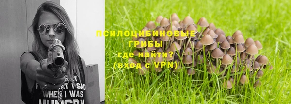 прущая мука Билибино
