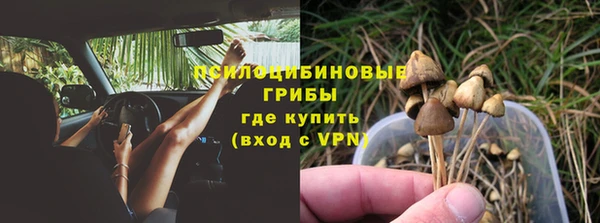 ПСИЛОЦИБИНОВЫЕ ГРИБЫ Беслан
