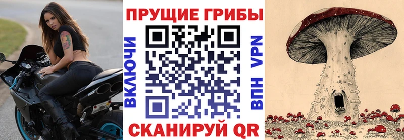 Псилоцибиновые грибы мухоморы  где купить   Валдай 